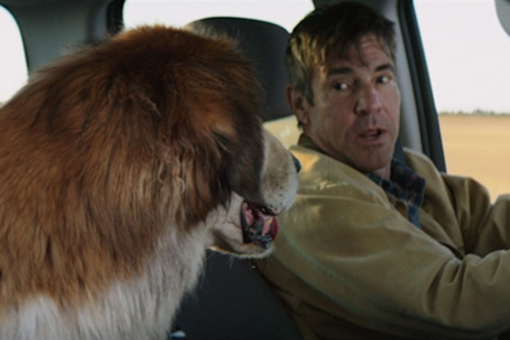 A Dog's Purpose