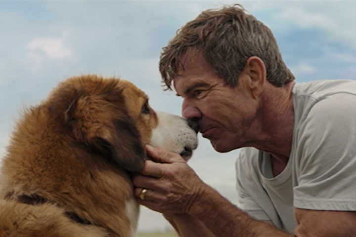 A Dog's Purpose