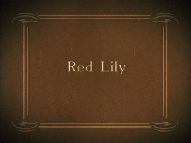 The Red Lily