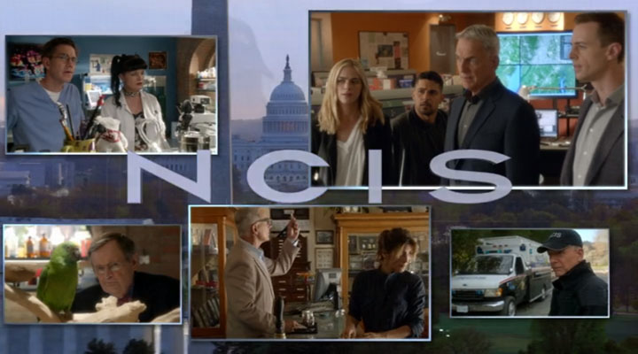 NCIS - Privileged Information