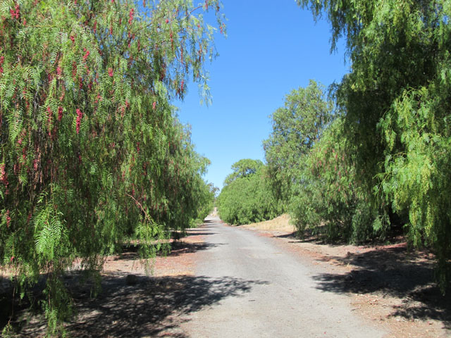 Byron Hot Springs Ruins